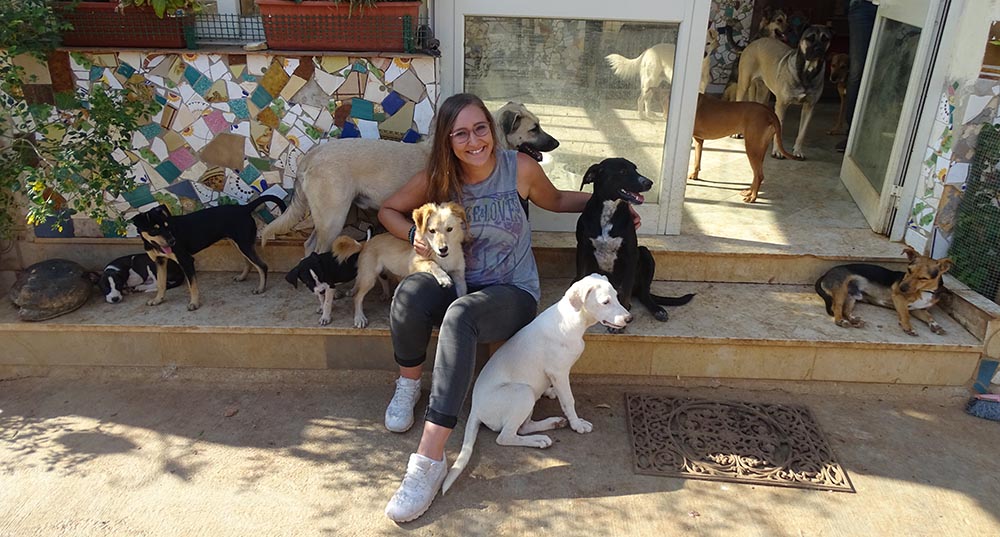 ehrenamtliche arbeit tierschutz hunde sizilien hundehilfe italien