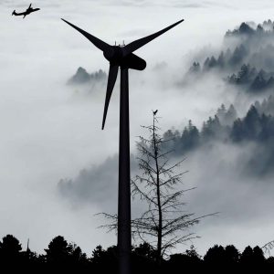 Ökostrom vegan nachhaltig Windkraft