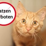 Darf Vermieter Katze verbieten